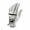 Mizuno Golf Mizuno Comp Golf Gloves -Clubs Shop Mizuno Comp Glove 2020 a 93593.1624042112