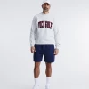 College Crewneck Gray Heather -Clubs Shop vicegolf florida scramble college crewneck gray heather slider01 desktop