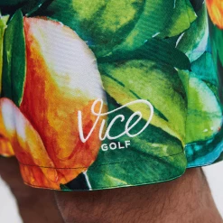 Daily Juice Reversible Mesh Shorts Eden Green -Clubs Shop vicegolf florida scramble daily juice reversible mesh shorts eden green slider06 desktop