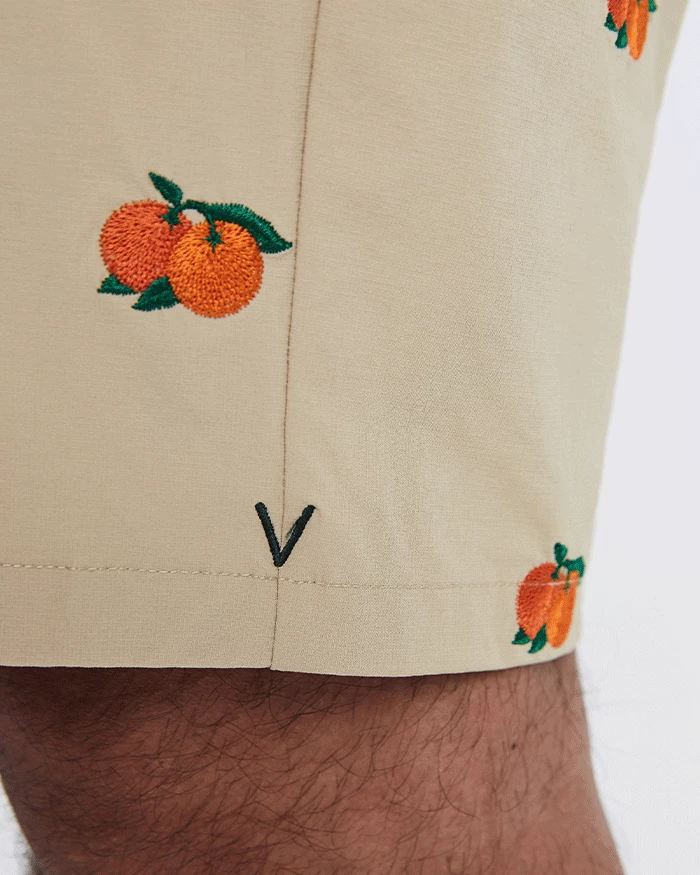 Pro Plus Shorts Multicolor - Image 2